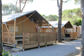 Glamping Cavallino